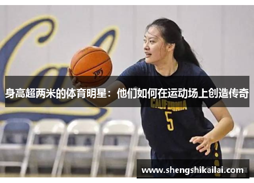 身高超两米的体育明星：他们如何在运动场上创造传奇