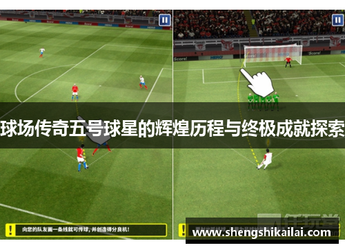 球场传奇五号球星的辉煌历程与终极成就探索
