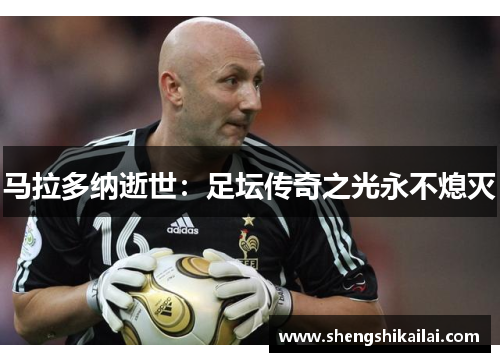 马拉多纳逝世：足坛传奇之光永不熄灭