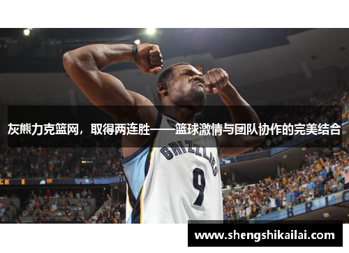 灰熊力克篮网，取得两连胜——篮球激情与团队协作的完美结合