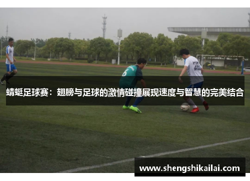蜻蜓足球赛：翅膀与足球的激情碰撞展现速度与智慧的完美结合