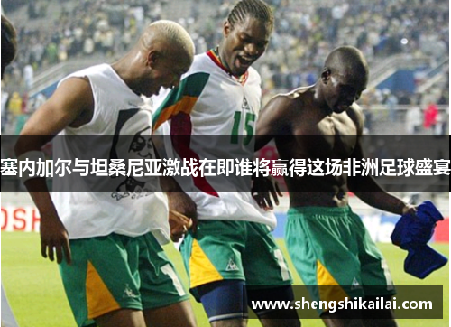 塞内加尔与坦桑尼亚激战在即谁将赢得这场非洲足球盛宴