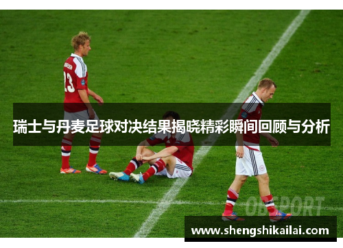 瑞士与丹麦足球对决结果揭晓精彩瞬间回顾与分析