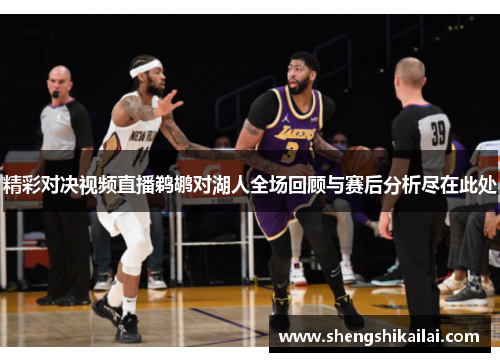 精彩对决视频直播鹈鹕对湖人全场回顾与赛后分析尽在此处