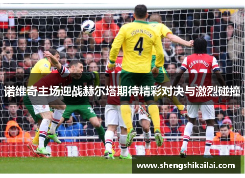 诺维奇主场迎战赫尔塔期待精彩对决与激烈碰撞